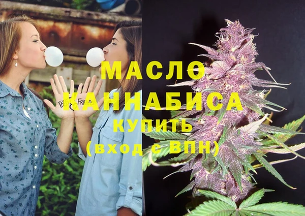 шишки Магас