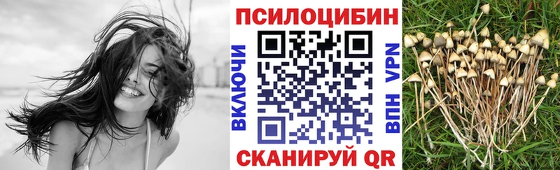 где найти   Набережные Челны  Псилоцибиновые грибы Magic Shrooms 